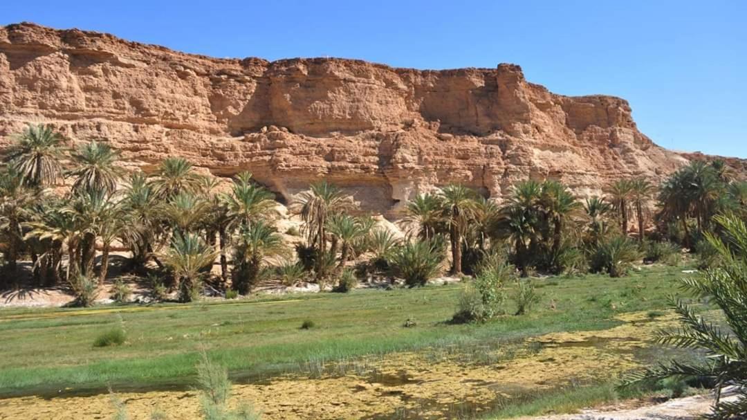 Amoudou Lodge Camp Tissint Экстерьер фото