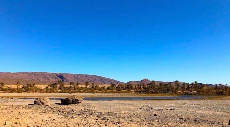 Amoudou Lodge Camp Tissint Экстерьер фото
