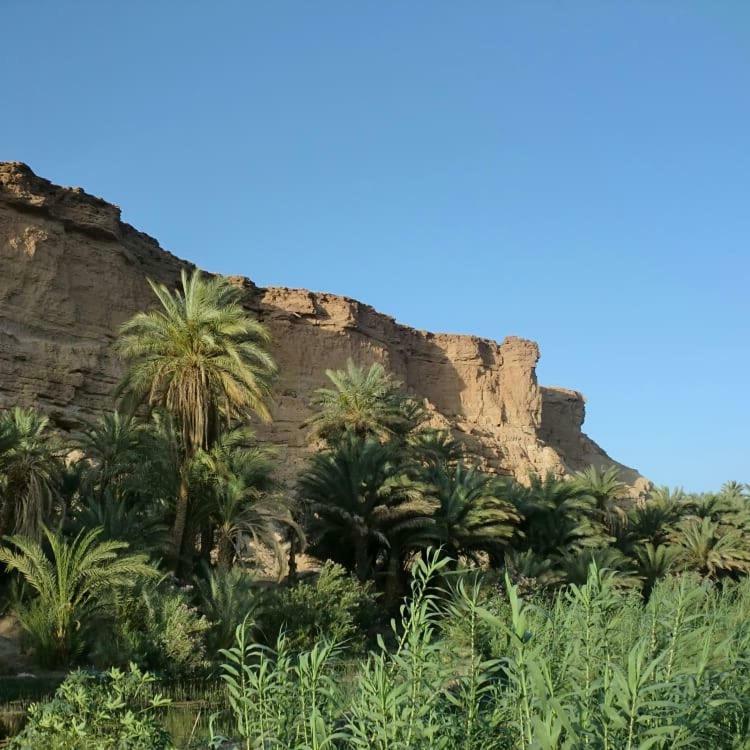 Amoudou Lodge Camp Tissint Экстерьер фото